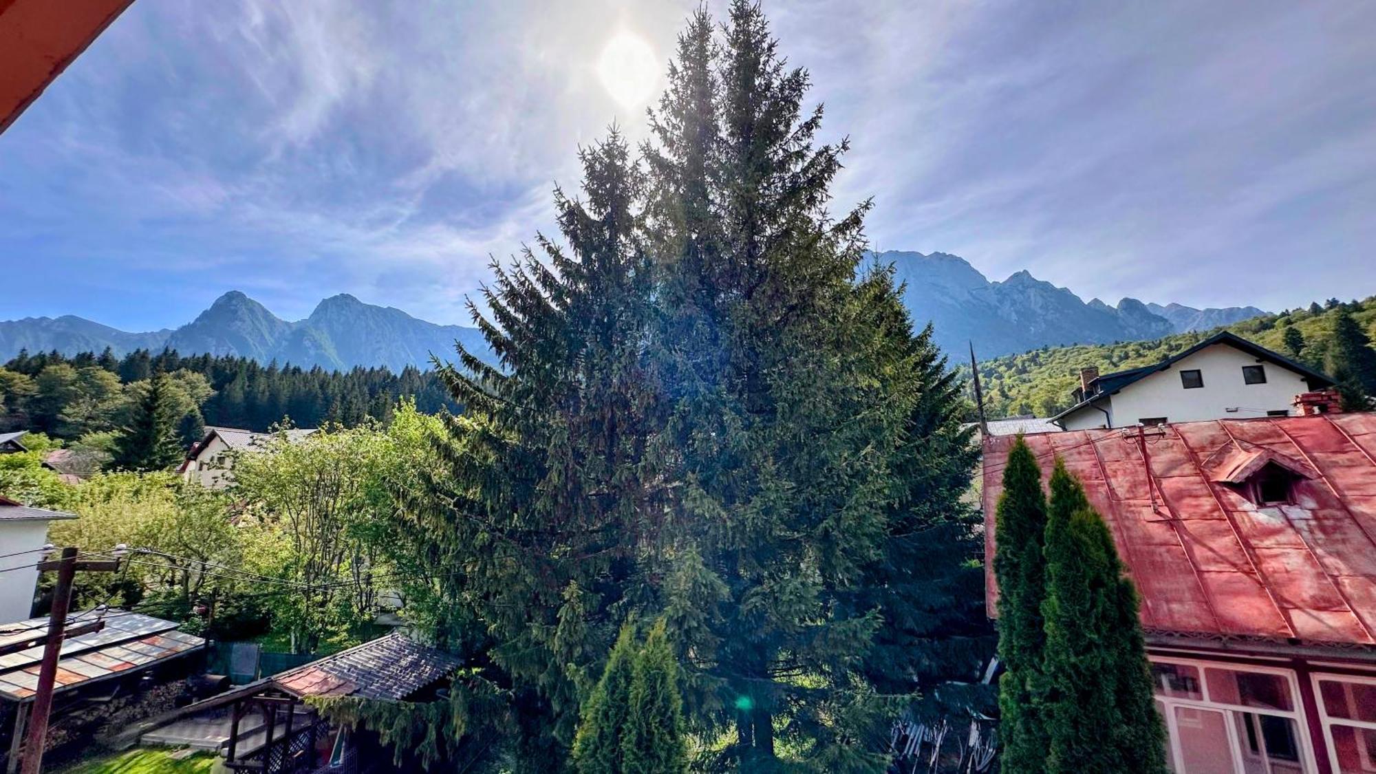 Valea Alba View - Self Check-In Hotel Busteni Exterior photo