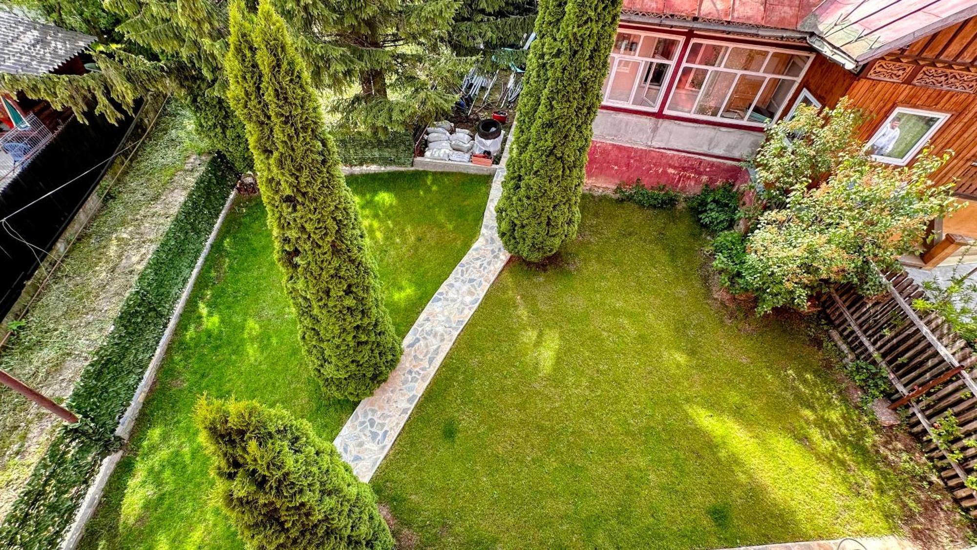 Valea Alba View - Self Check-In Hotel Busteni Exterior photo